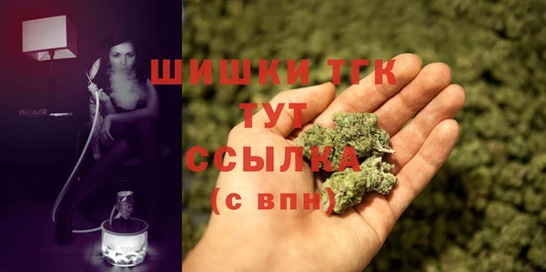 соль ск Няндома