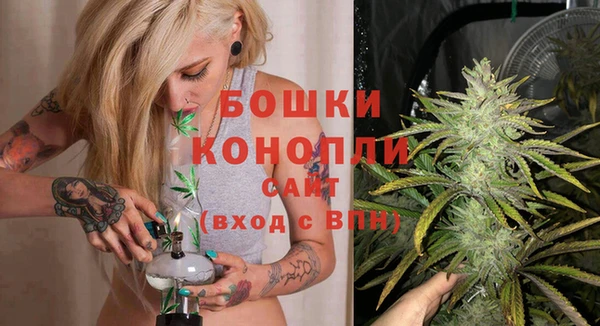 соль ск Няндома