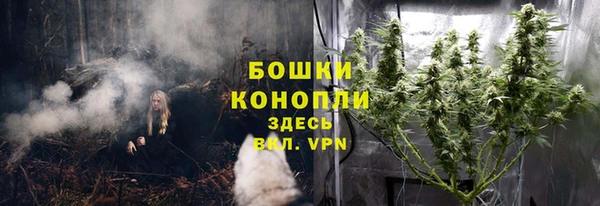 соль ск Няндома