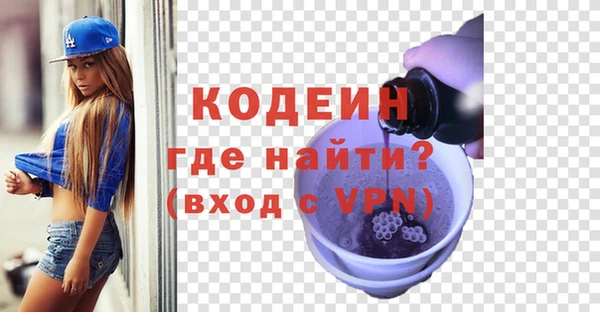 соль ск Няндома
