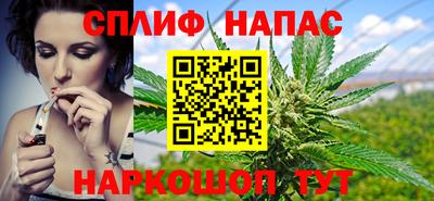 стафф Донской