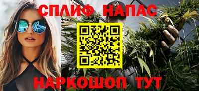 стафф Донской