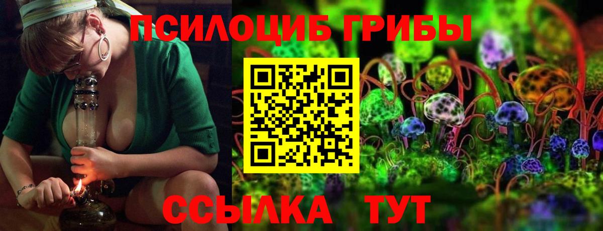 Псилоцибиновые грибы MAGIC MUSHROOMS  где можно купить наркотик  Киреевск 