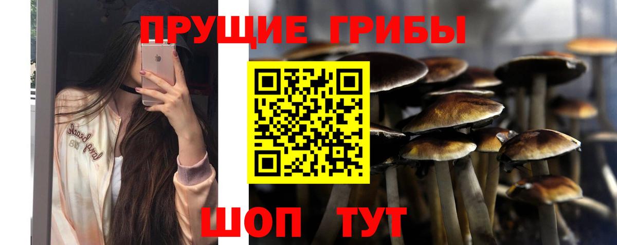 Псилоцибиновые грибы мухоморы  Вход с VPN  где купить наркоту  Киреевск 